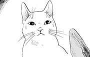 ウォーキング・キャット 第0005話