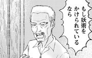 バリ島物語 ～神秘の島の王国、その壮麗なる愛と死～ 第2話